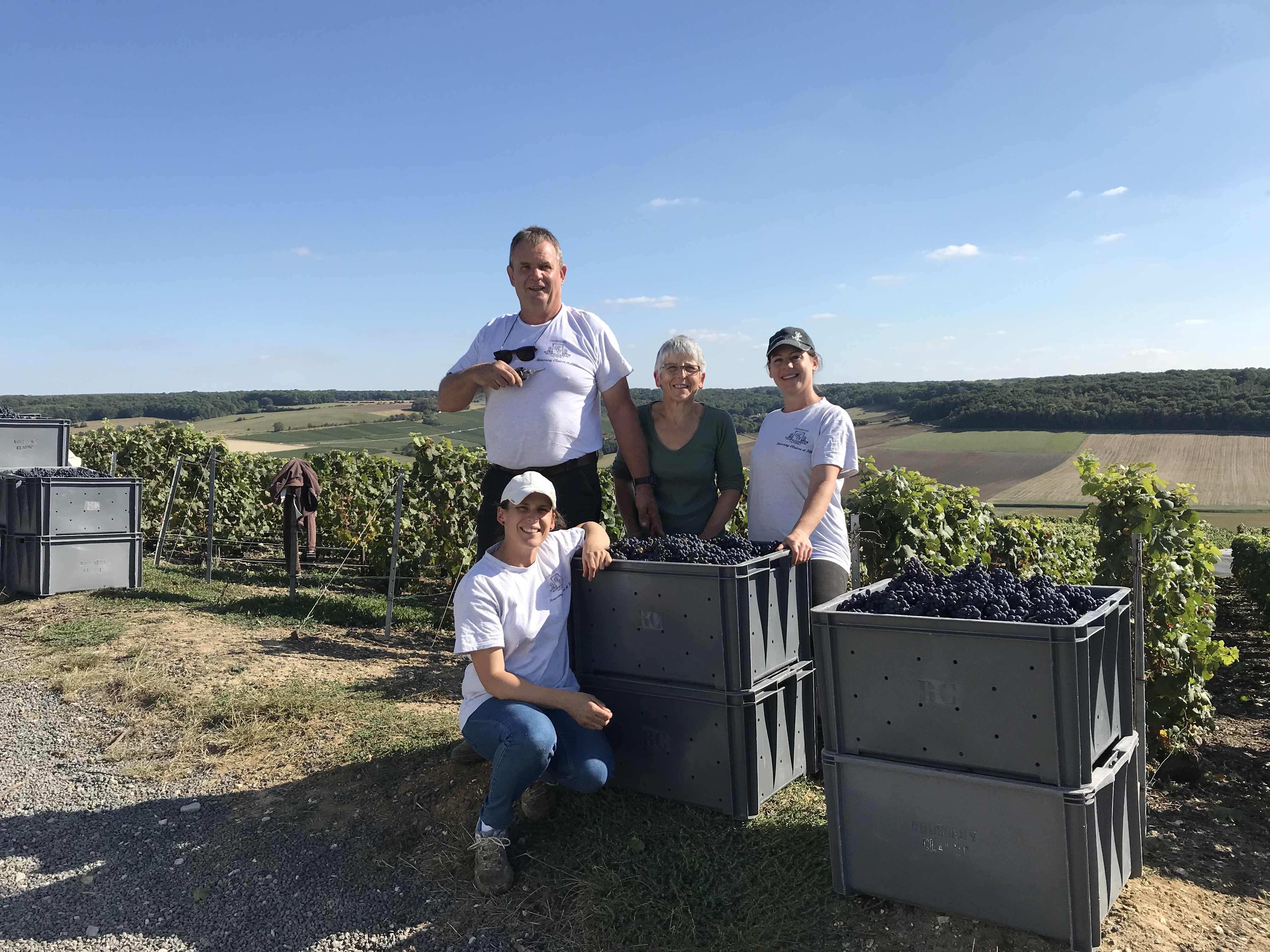 Vendanges 2019