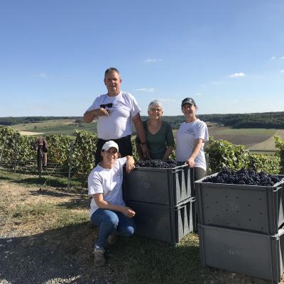 Vendanges 2019